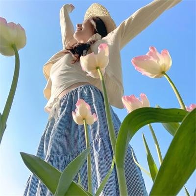 灵能百分百第二季